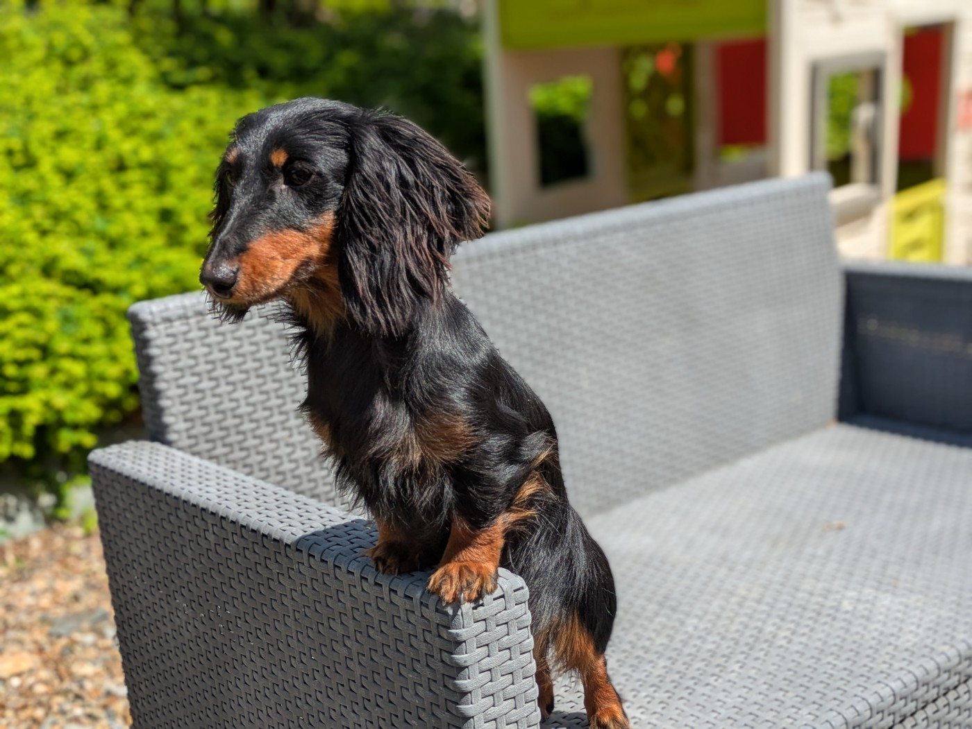 Valkyrie De La Cour Des Iles